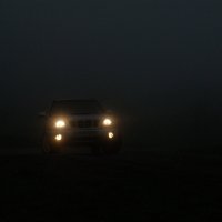 в тумане :: татьяна вашурина