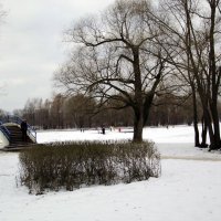 Зимний день в парке :: Анатолий Цыганок