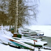 Зима, Волга :: Ольга Маркова
