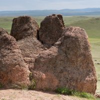 Табан хурган (пять пальцев) :: Олег 