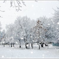А просто шёл снег. :: Анатолий Ливцов