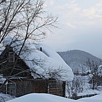Снега! :: Сеня Полевской