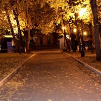 Осенний парк :: Ирина 