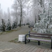 В парке :: Константин Бобинский
