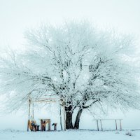 Мороз, туман, рассвет - 3 :: Игорь Белоконь