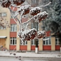 Зима :: Сергей Быковский