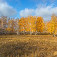 Золотая осень. :: Kassen Kussulbaev