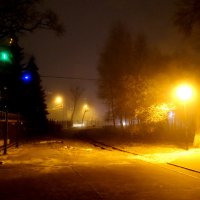 Туманный вечер в парке... :: Тамара (st.tamara)