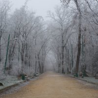 Дорожка в туман... :: Игорь Хворостян