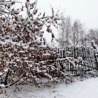 Снег, словно память былого... :: Лесо-Вед (Баранов)