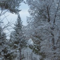 Зима :: Aнна Зарубина