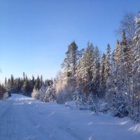 зимняя дорога :: Галина 