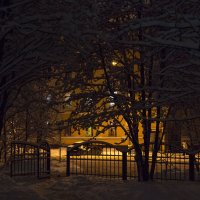 Мурманск, полярная ночь :: Наталья Василькова