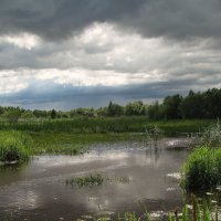 Дождливый день. :: Галина .