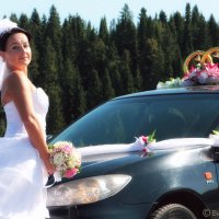 Пермская невеста :: Виталий Гребенников