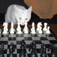 Chess master. Хитрый Ход! :: Виталий Батов