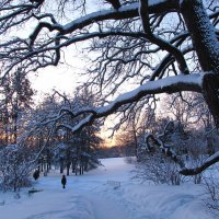 Прогулка в парке :: Самохвалова Зинаида 