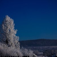 Зима декабрь :: Евгения Копылова