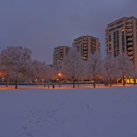 Первый снег :: Anna L