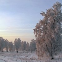 Грация :: Виктор Корсуков