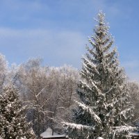 ...Воздух легок и чист....Иван Никитин :: Людмила 