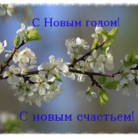 Пусть будет вечная в душе весна! :: Irina Fabien