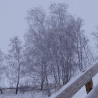 Зима искусница деревьям сшила платья. :: Серж Поветкин