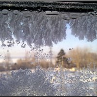 Фантазии зимнего окна :: Любовь Чунарёва