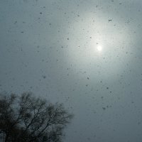 Снегопад :: Сергей Форос