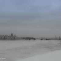 Зимняя прогулка по Питеру. :: Дмитрий Рожков