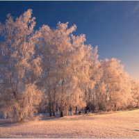 Зимнее... :: Анатолий __