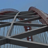 макушка Бугринского моста :: Елена Баландина