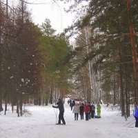 Все на выгул после новогодней ночи . :: Мила Бовкун