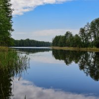 Озеро :: Наталья Усенко