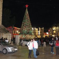 Дорогие  друзья  Вам  привет  от  меня   из  ВИФЛИЕМА...Вот  она  Рождественская  елка.... :: Natalia 