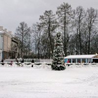 Новогодняя ёлочка у Екатерининского дворца. :: ТАТЬЯНА (tatik)