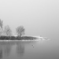 Туманный день :: Астарта Драгнил