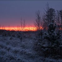 Декабрьский восход солнца :: Елена Ерошевич