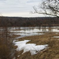 Половодье :: Владимир Максимов