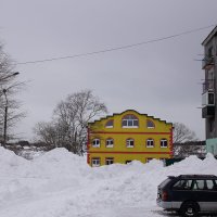 Сахалинская зима :: Владимир Артюхов