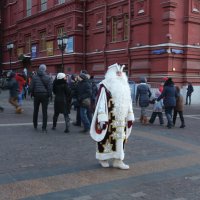 Дед Мороз :: Соколов Сергей Васильевич 