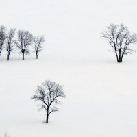 Зима :: Константин Филякин