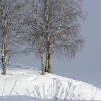 край наш северный :: Sergey Kirillov