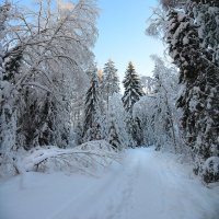 Сонное царство. :: Евгений 