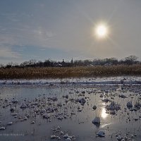 Почти зима... :: Юрий Слюньков