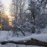 Морозный денёк :: Юрий Митенёв