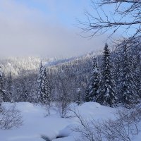 утро начинается :: Александр Потапов