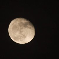 Луна :: Екатерина Харитонова