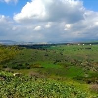 ЯНВАРСКАЯ  ЗАРИСОВКА :: Анатолий Малобродский