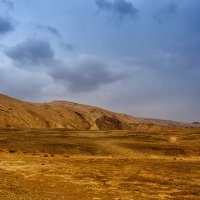 Израиль, пустыня Арава :: Владимир Горубин